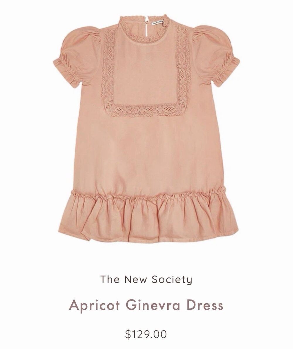 The New Society Ginevra Dress Apricot Size 12 NWT